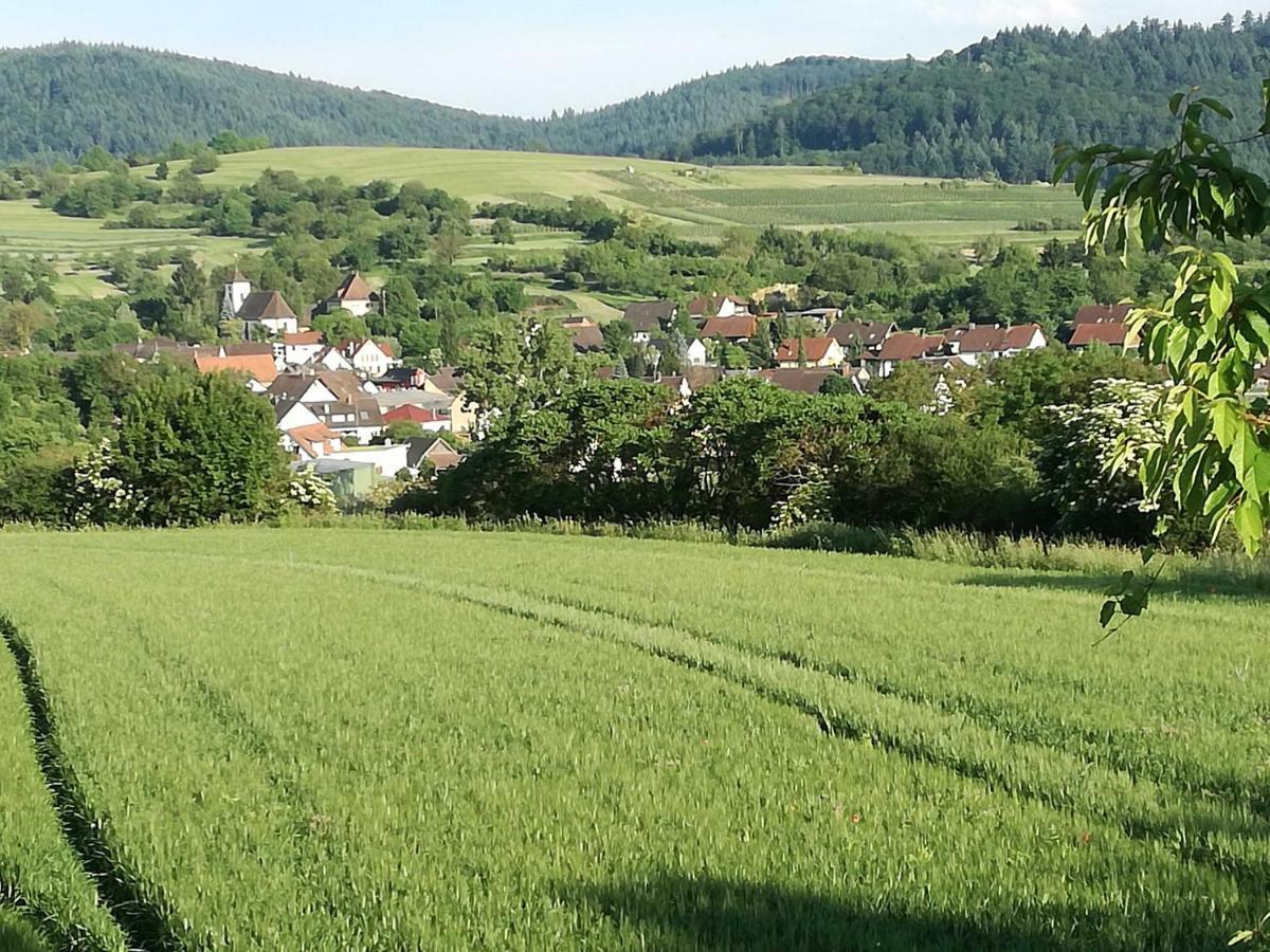 Galerie Ueber Den Gaerten Herbolzheim Exterior foto